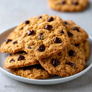 Chocolate Chip Graham Cookies in 25 Min